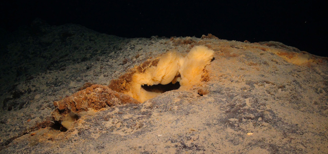 hydrothermal spring -660 m